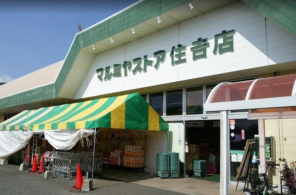 宮崎市大字島之内の土地(マルミヤストア住吉店)