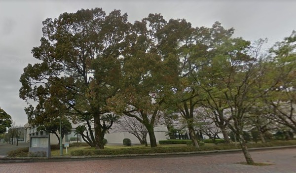 宮崎市神宮新築戸建1期-1号棟(宮崎県立図書館)