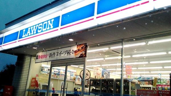 スマイルホーム山之口24号(ローソン山之口町花木店)