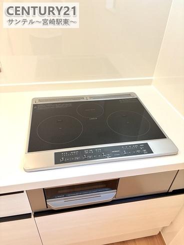 児湯郡高鍋町北高鍋新築戸建A号棟