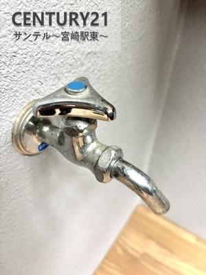レクシア柳丸レジアス