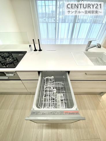 レクシア柳丸レジアス