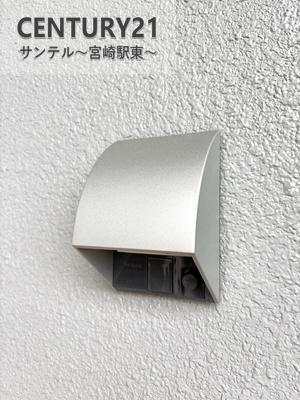レクシア柳丸レジアス