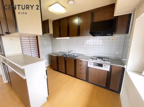 TIPマンション(キッチン)