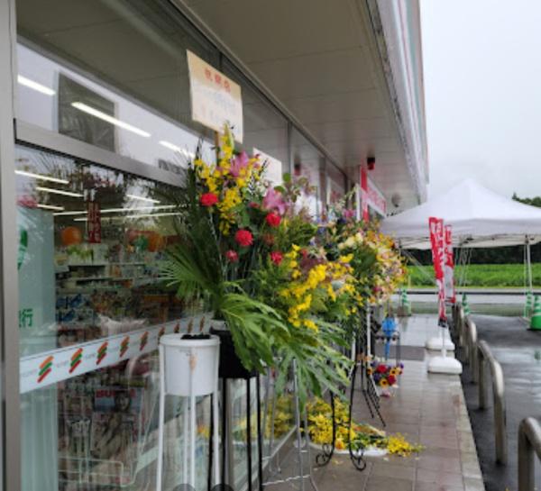 宮崎市田野町甲の土地(セブンイレブン田野新村店)