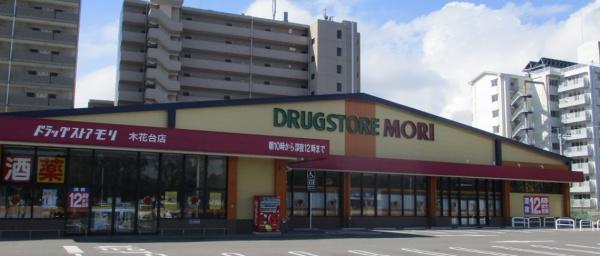 宮崎市学園木花台北２丁目の中古一戸建て(ドラッグストアモリ木花台店)