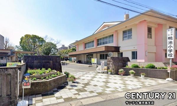 鹿児島市真砂本町新築戸建　第7-1号棟(鹿児島市立鴨池小学校)