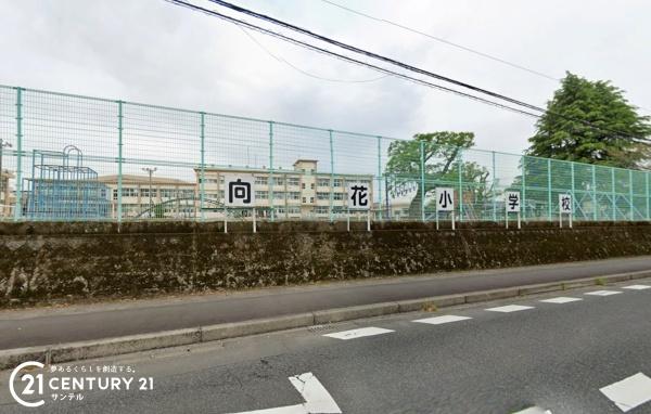 霧島市国分新町１丁目の中古一戸建て(霧島市立向花小学校)