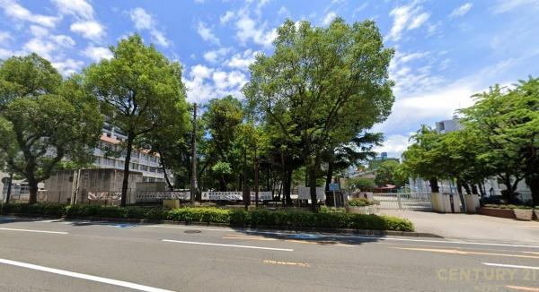 Dクラディア中之平通り　1001(鹿児島市立山下小学校)