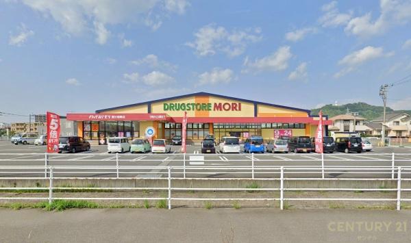 霧島市国分中央6丁目新築戸建 2期-2号棟(ドラッグストアモリ国分福島店)