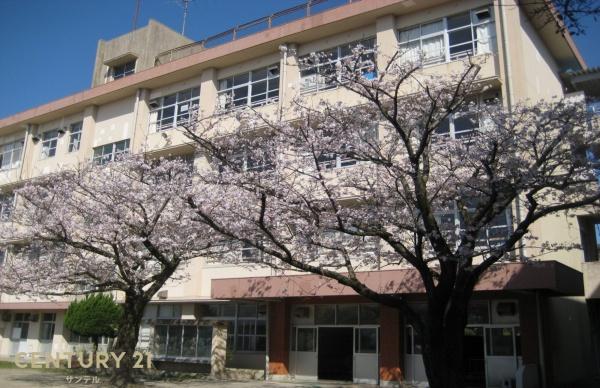 鹿児島市桜ヶ丘5丁目の土地(鹿児島市立桜丘中学校)