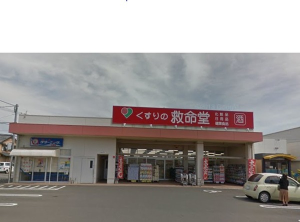 宮崎市大字郡司分1期　2号棟(くすりの救命堂本郷店)