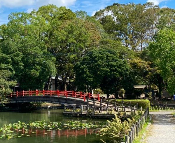 都城市郡元町第3-1号棟(早水公園)