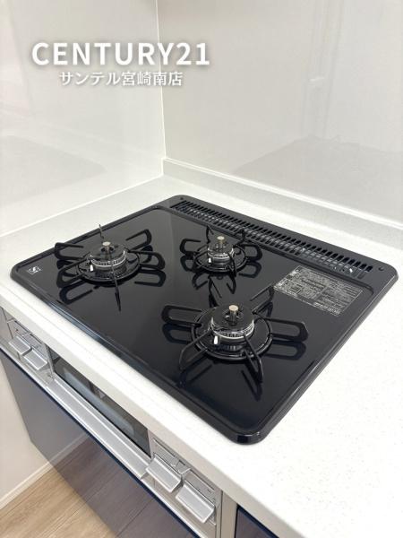 田野町井倉モデル4号棟　C21サンテル南店