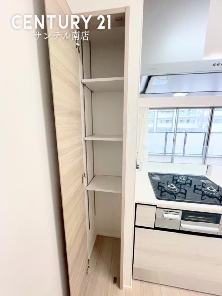 【C21サンテル南店】レクシア柳丸レジアス