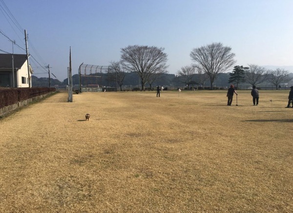 スマイルホーム三股町蓼池I-5号棟(新馬場公園)