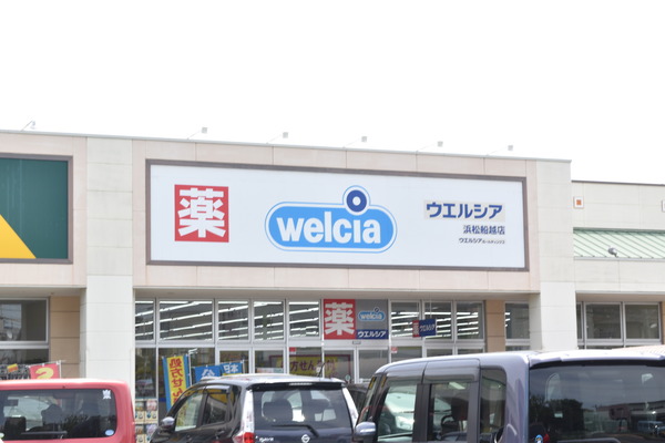 浜松市中央区元浜町の土地(ウエルシア浜松船越店)