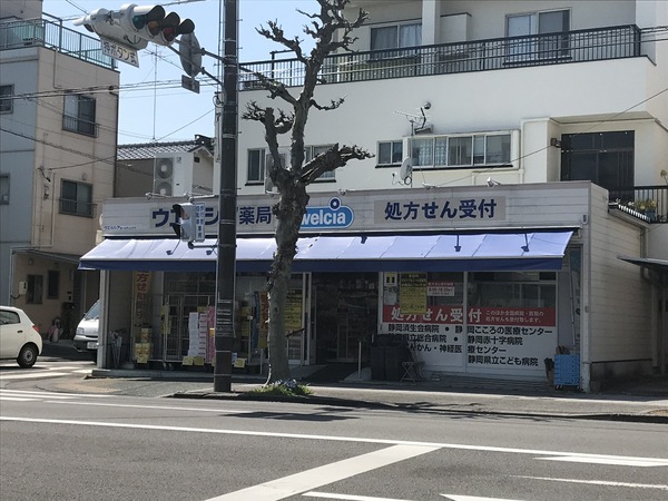 静岡市葵区本通西町の中古一戸建て(ウエルシア薬局静岡田町店)