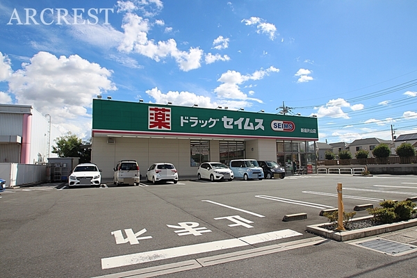 新座市池田４丁目の土地(ドラッグセイムス新座片山店)