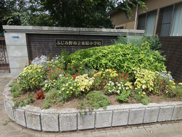 ふじみ野市苗間の土地(ふじみ野市立　東原小学校)