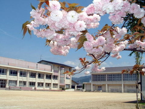 リーブルG桜井市西之宮6期新築分譲全2区画２号地(桜井市立大福小学校)