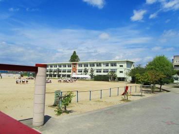 磯城郡田原本町大字黒田の土地(田原本町立田原本小学校)