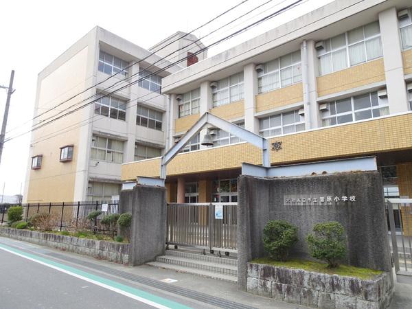 大和高田市大字根成柿の土地(大和高田市立菅原小学校)