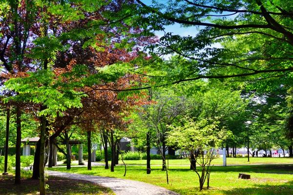 デュオセーヌ相模原上溝駅前(横山公園)