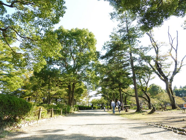 ライオンズマンション矢部第３(鹿沼公園)