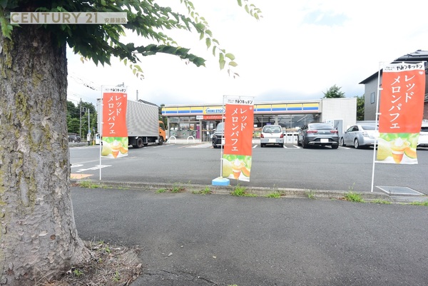 鶴ヶ島市下新田第2 新築全3棟 1号棟(ミニストップ鶴ヶ島脚折4丁目店)