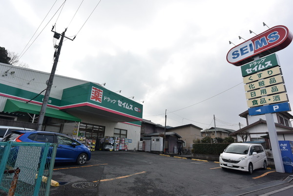 入間リバーサイド 23号棟 5階(ドラッグセイムス仏子店)