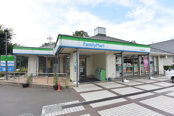 日高市横手2丁目の中古一戸建て(ファミリーマート飯能日高団地店)