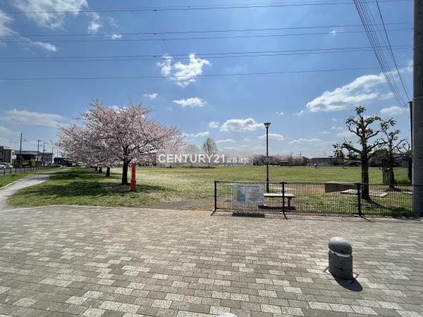 入間市東藤沢24期 新築全2棟 1号棟(藤沢中央公園)