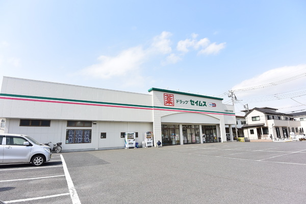 狭山市大字水野の中古一戸建て(ドラッグセイムス東狭山ヶ丘店)