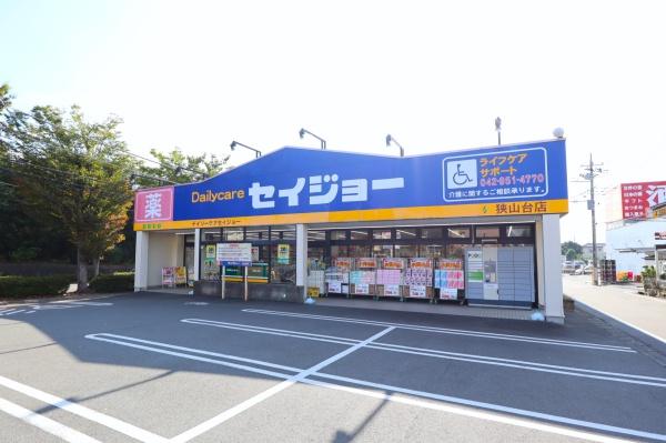 狭山市狭山台4丁目 新築戸建(デイリーケアセイジョー狭山台店)