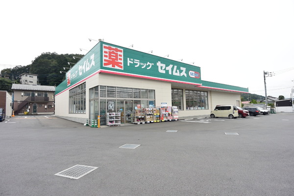 プランヴェール入間武蔵野２番館　４階(ドラッグセイムス入間仏子店)