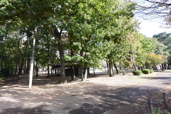 所沢市向陽町(緑町中央公園)
