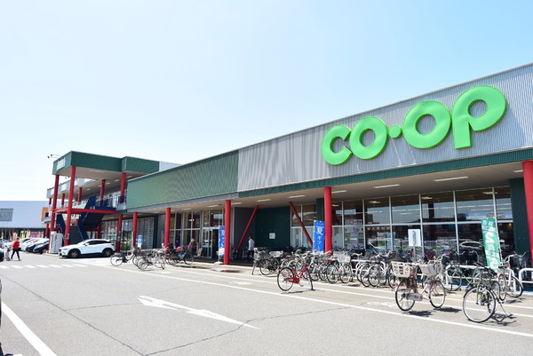 アクエス武蔵藤沢２　１２階角部屋(コープ武蔵藤沢店)