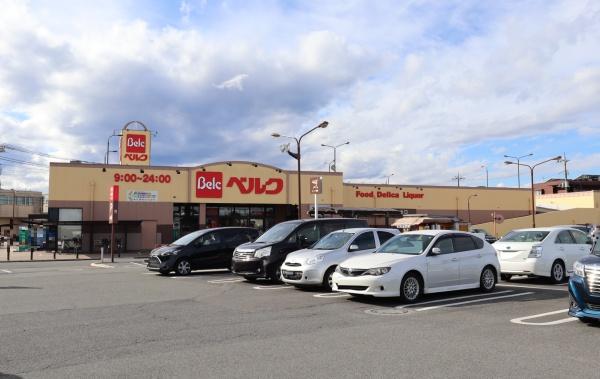 飯能市笠縫１２期　新築全２棟　２号棟(ベルク飯能緑町店)