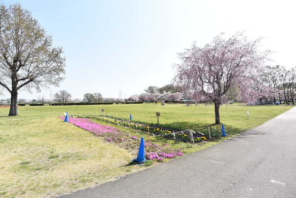 狭山市柏原21期　新築全5棟　1号棟(上奥富運動公園)