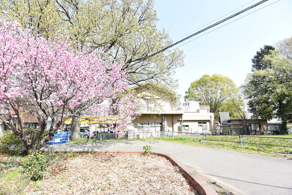 狭山市柏原14期　新築全3棟　3号棟　平屋建て(けやき認定こども園狭山けやき幼稚園)
