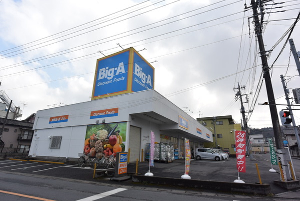 野田５３４番　新築戸建(ビッグ・エー入間仏子店)
