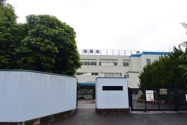 入間久保稲荷第１１期　新築全２棟　１号棟(入間市立向原中学校)
