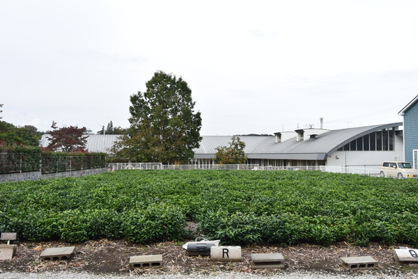 入間市大字新久の中古一戸建て(茶々保育園)