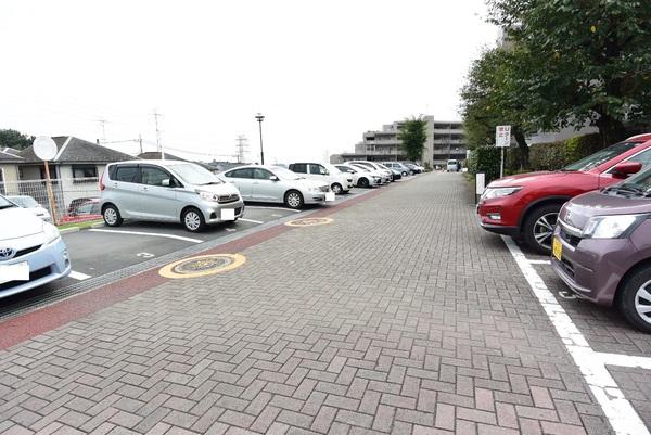 エステスクエア武蔵藤沢　10階
