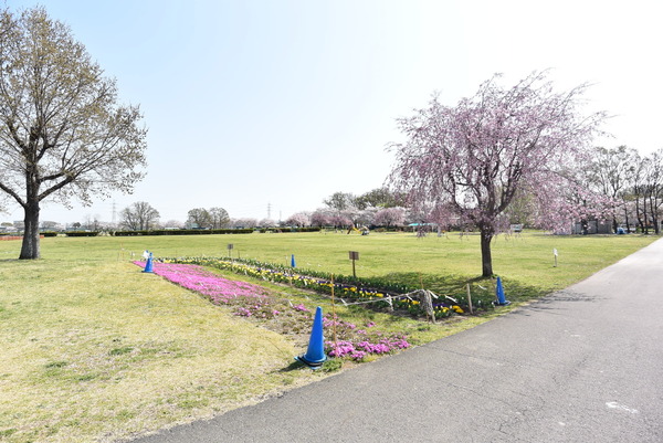 狭山市大字上奥富の中古一戸建て(上奥富運動公園)