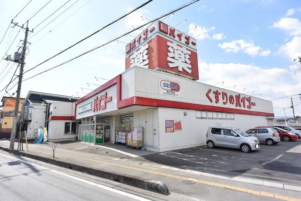 日高市上鹿山　６号棟(ドラッグストアバイゴー日高こま川店)