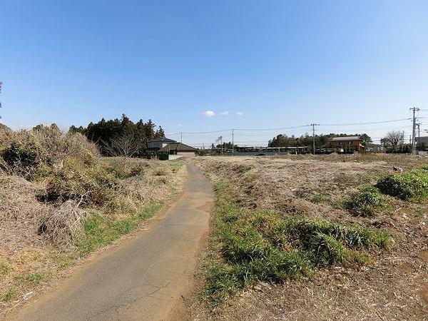 つくば市要元上口の堀の土地