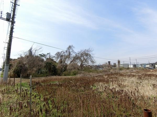 つくば市赤塚の土地