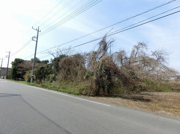 つくば市赤塚の土地